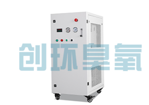 焦作石斑鱼养殖水质调控完整指南：臭氧发生器配置与操作步骤