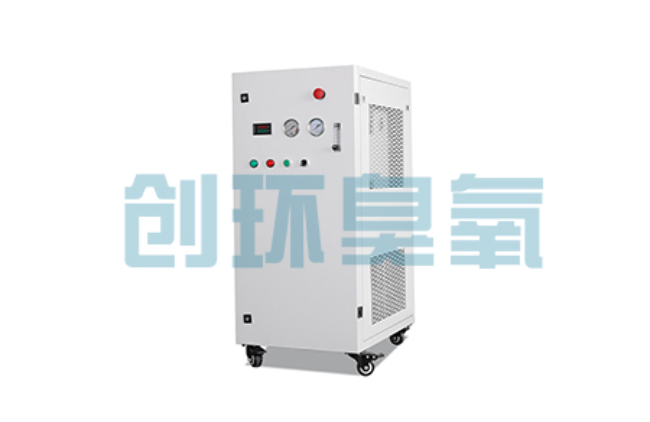 焦作比传统换水更高效？臭氧发生器在石斑鱼养殖中的水质净化原理解析